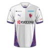 Maillot de Foot Kyoto Sanga Exterieur 2025-26 Maillot de Foot Kyoto Sanga Exterieur 2025-26